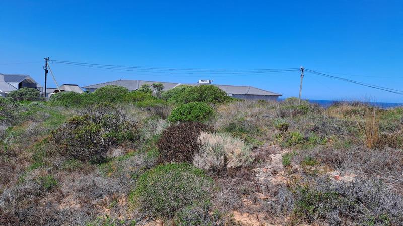 0 Bedroom Property for Sale in Jongensfontein Western Cape